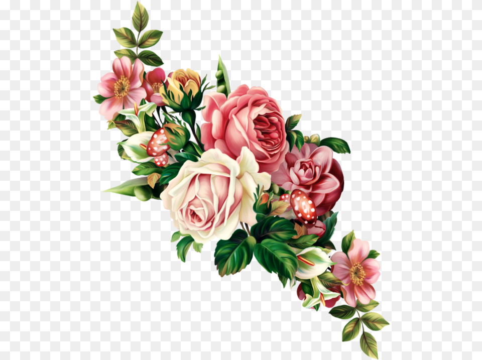 Aesthetic Flowers, Art, Floral Design, Flower, Flower Arrangement Free Transparent Png
