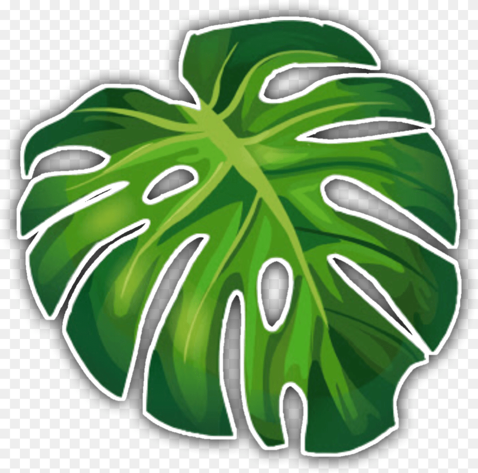 Aesthetic Green Sticker, Leaf, Plant, Animal, Reptile Png Image