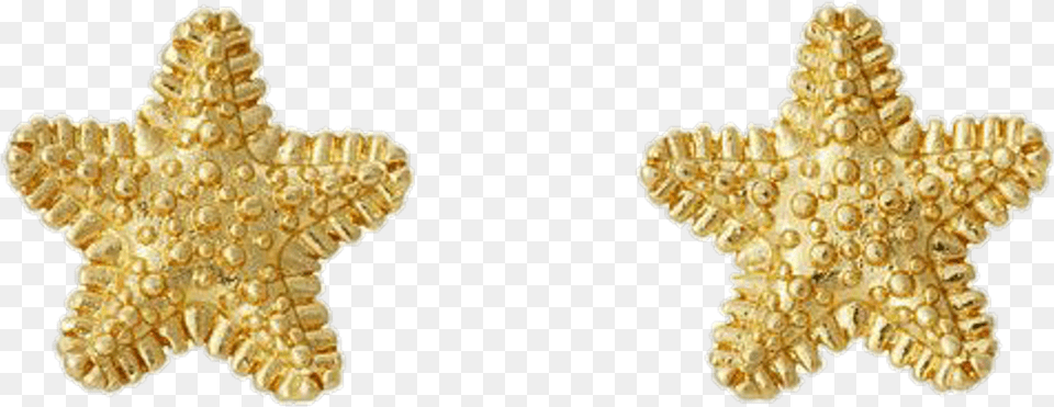 Aesthetic Jewellery, Animal, Sea Life, Gold Png