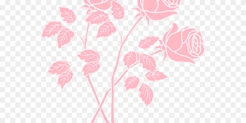 Aesthetic Overlays For Edits, Flower, Leaf, Plant, Rose Free Png
