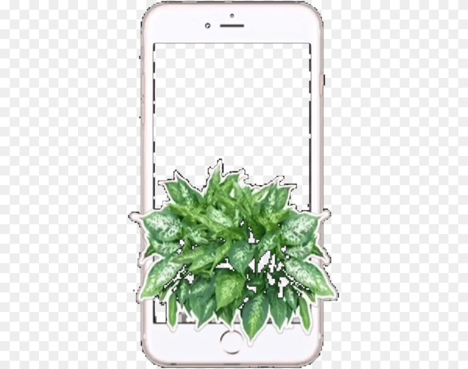 Aesthetic Overlays Indoor Plant Plan, Electronics, Potted Plant, Phone, Mobile Phone Png Image