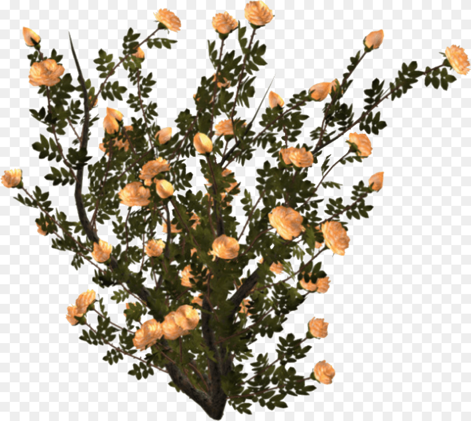 Aesthetic Plant Flower Bushes, Flower Arrangement, Chandelier, Flower Bouquet, Lamp Png Image