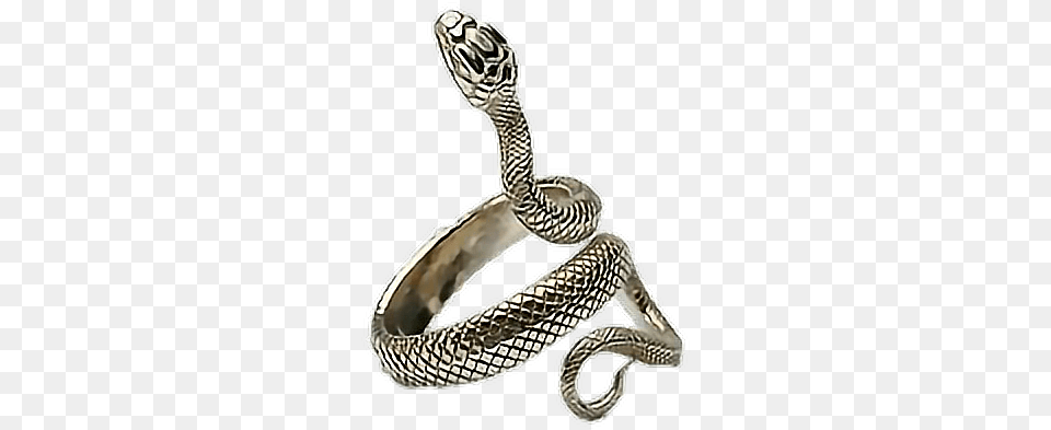 Aesthetic Polyvore Jewelry Jewellery Ring Snake Snake Ring, Animal, Reptile Png