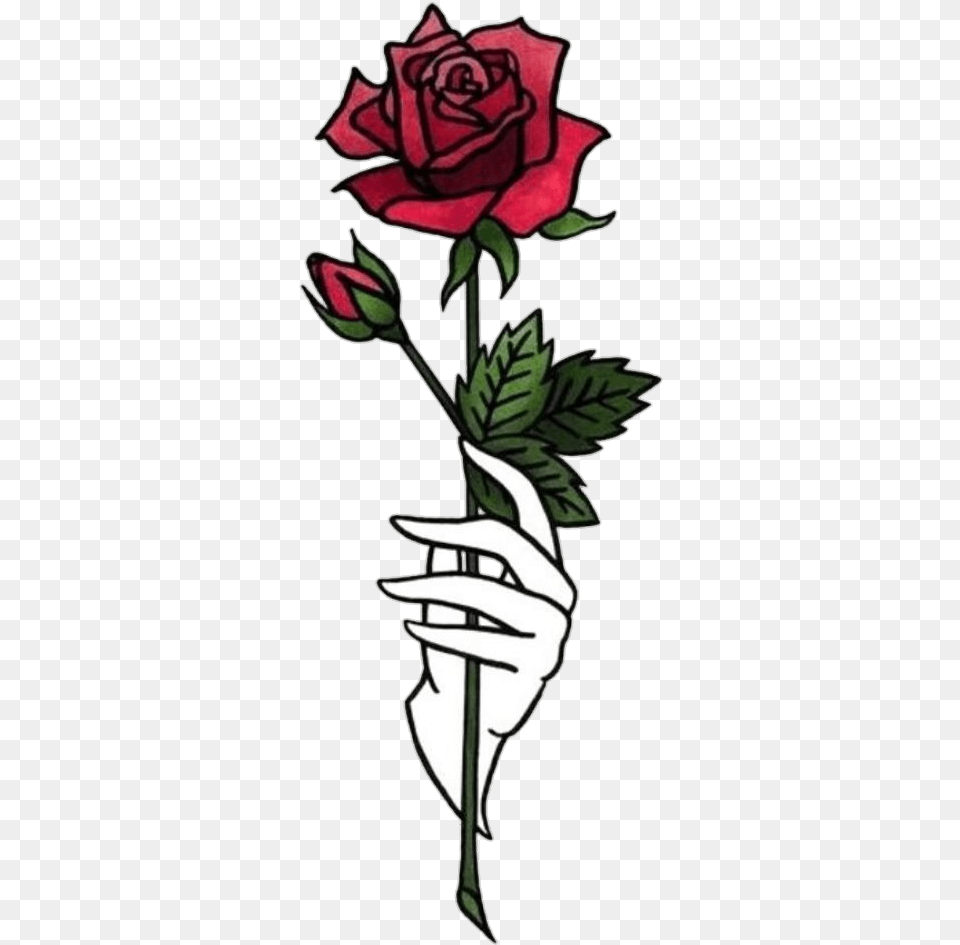 Aesthetic Rose, Flower, Plant, Art Free Png