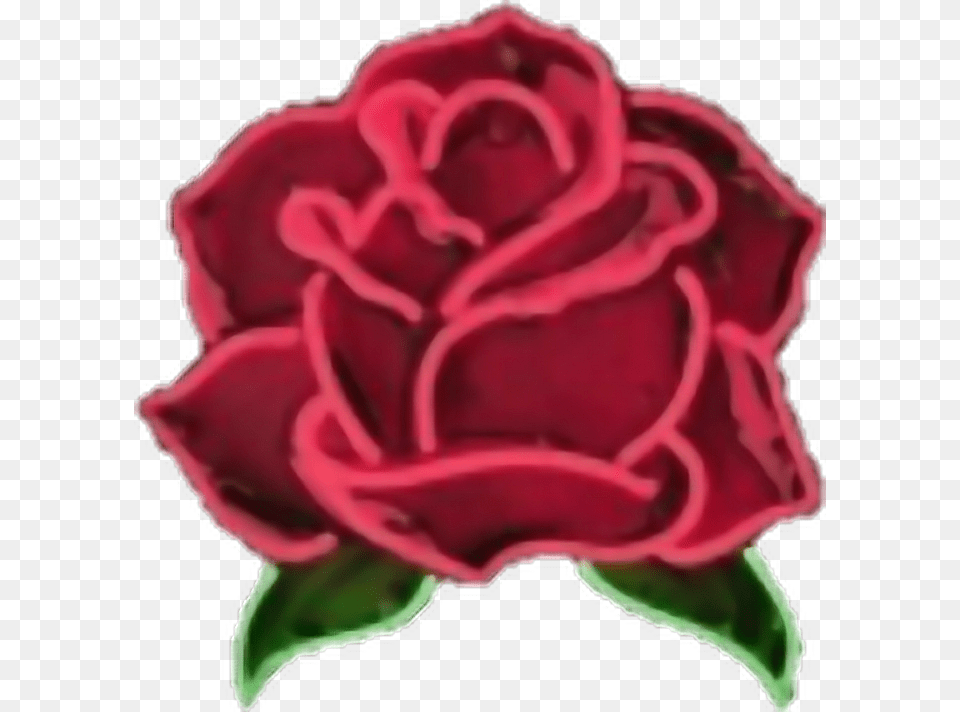 Aesthetic Rose Red Rose Aesthetic, Flower, Petal, Plant Png Image