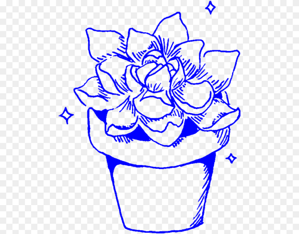 Aesthetic Succulent Succulents Cactus Cacti Plant Plant, Potted Plant, Baby, Person, Cookware Png