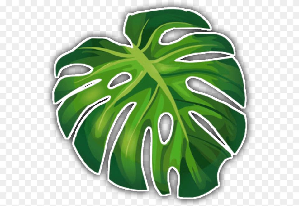 Aesthetic Tropical Sticker Freetouse Leaf Green Aesthetic Palm Leaves, Plant, Animal, Reptile, Sea Life Png