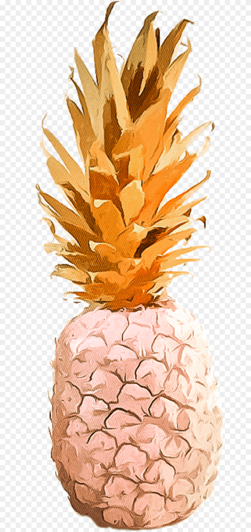 Aesthetic Tumblr Pineapple Pineapple, Food, Fruit, Plant, Produce Free Transparent Png