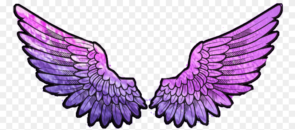 Aesthetic Wings Angelwings Galaxy Pastel Purple Eagle, Animal, Fish, Sea Life, Shark Png Image