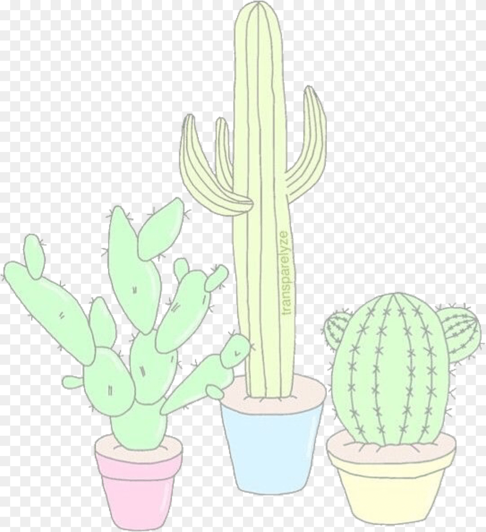 Aesthetics Amp Overlays Cacti Tumblr Drawings Cute Hedgehog Cactus, Plant Free Transparent Png