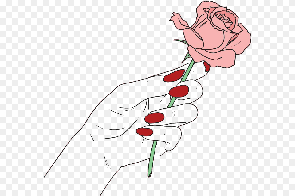 Aesthetics Image Pink Pastel Rose Hand Holding A Rose, Flower, Plant, Body Part, Person Png