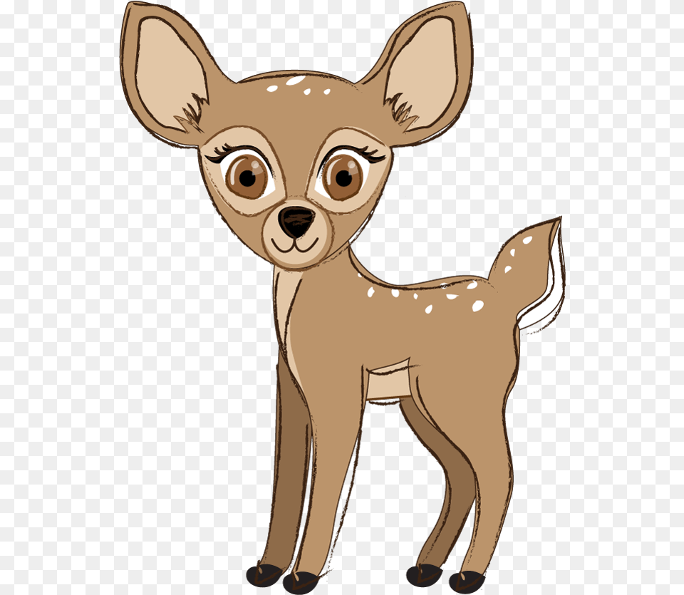Af Fawn 2019 Girl Scout Fall Product, Animal, Deer, Mammal, Wildlife Free Png