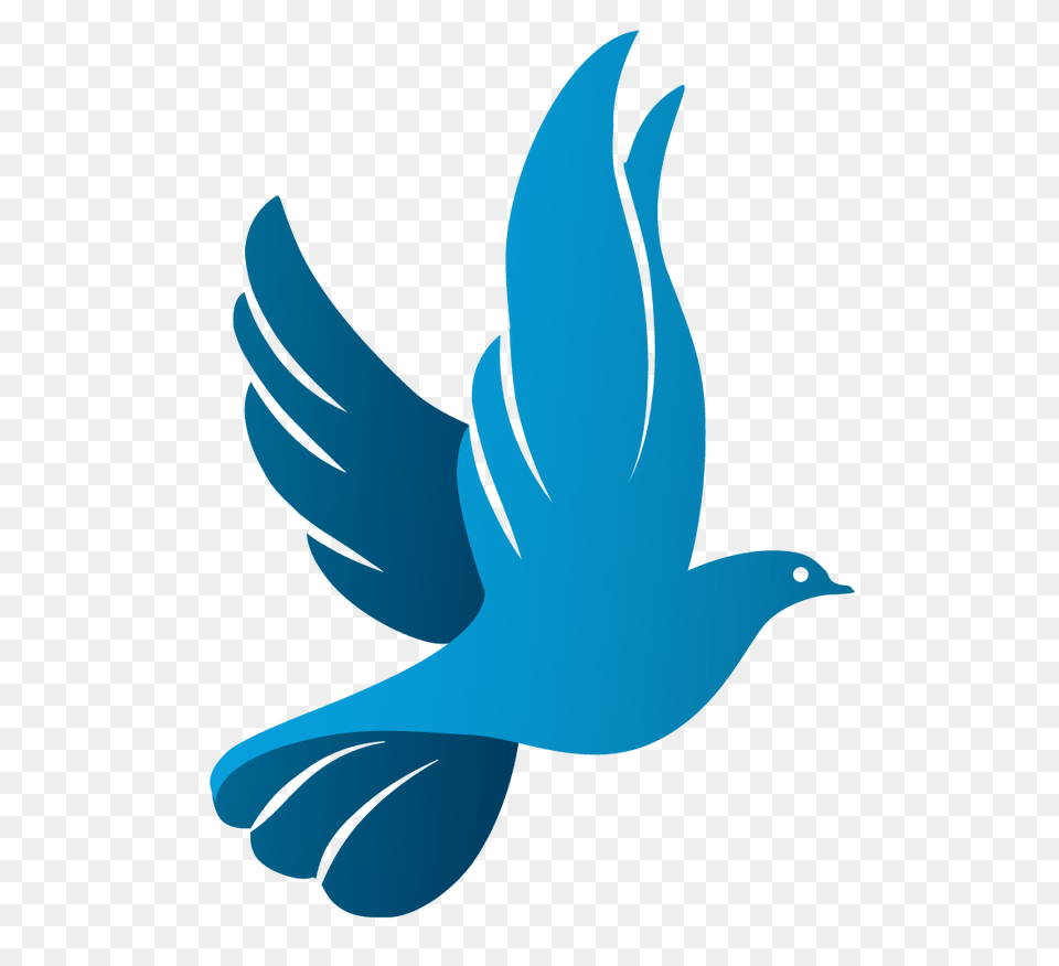 Afbeeldingsresultaat Voor Church Dove Logo Design Nkhazie, Animal, Bird, Jay, Person Free Png