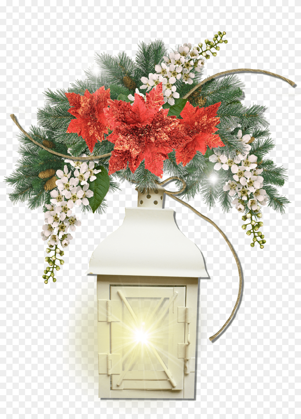 Afbeeldingsresultaat Voor Kerst Tubes Bosch 12 Place Integrated Dishwasher, Flower, Flower Arrangement, Flower Bouquet, Plant Png Image