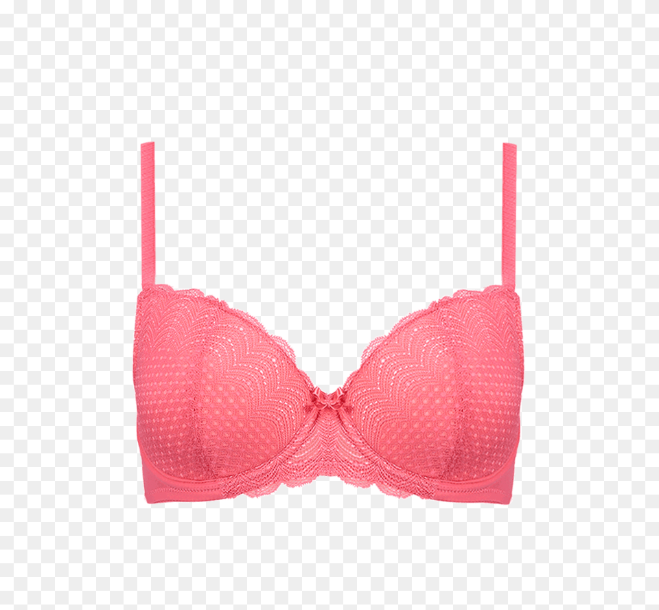 Affordable Coral Spot Lace Coral Bra Curvylicious, Clothing, Lingerie, Swimwear, Underwear Png Image