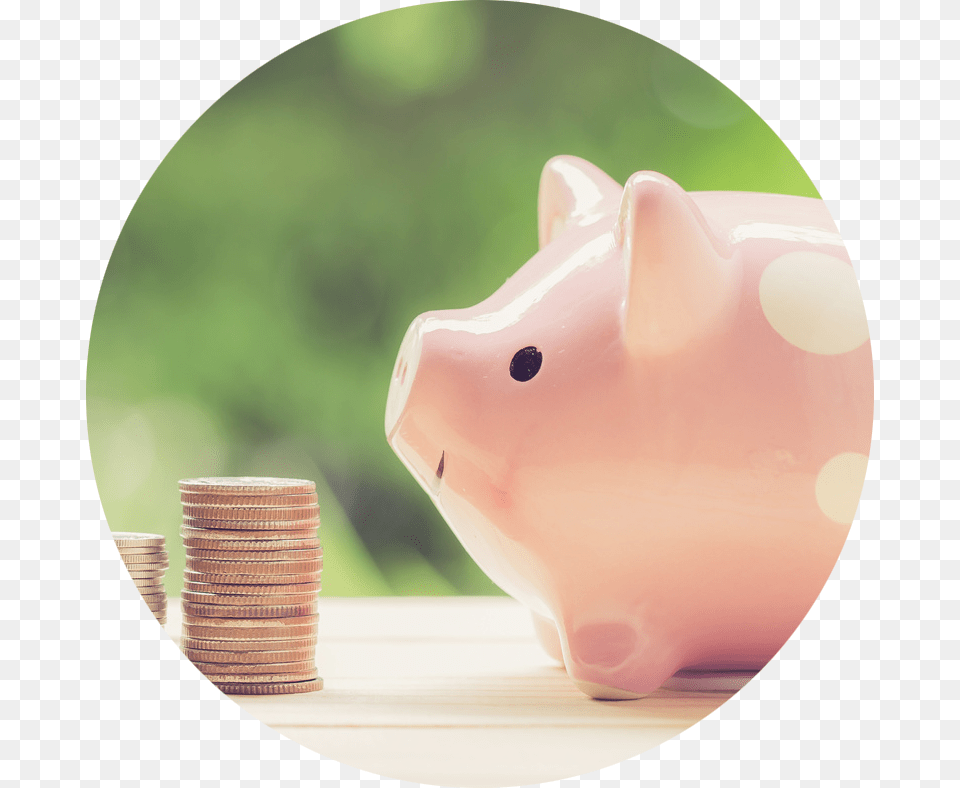 Affordable Dentistry Piggy Bank, Animal, Mammal, Pig, Piggy Bank Free Png