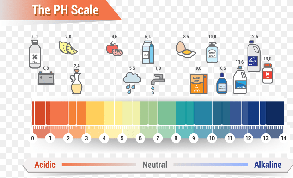 Affordable Ph Scale Litmus Paper Color Chart Royalty Skin Ph Level Chart Free Png
