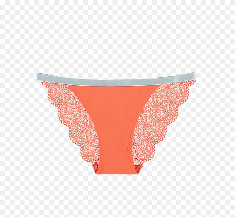 Affordable Special Edition Lace Orange Set Bra, Clothing, Lingerie, Panties, Thong Png