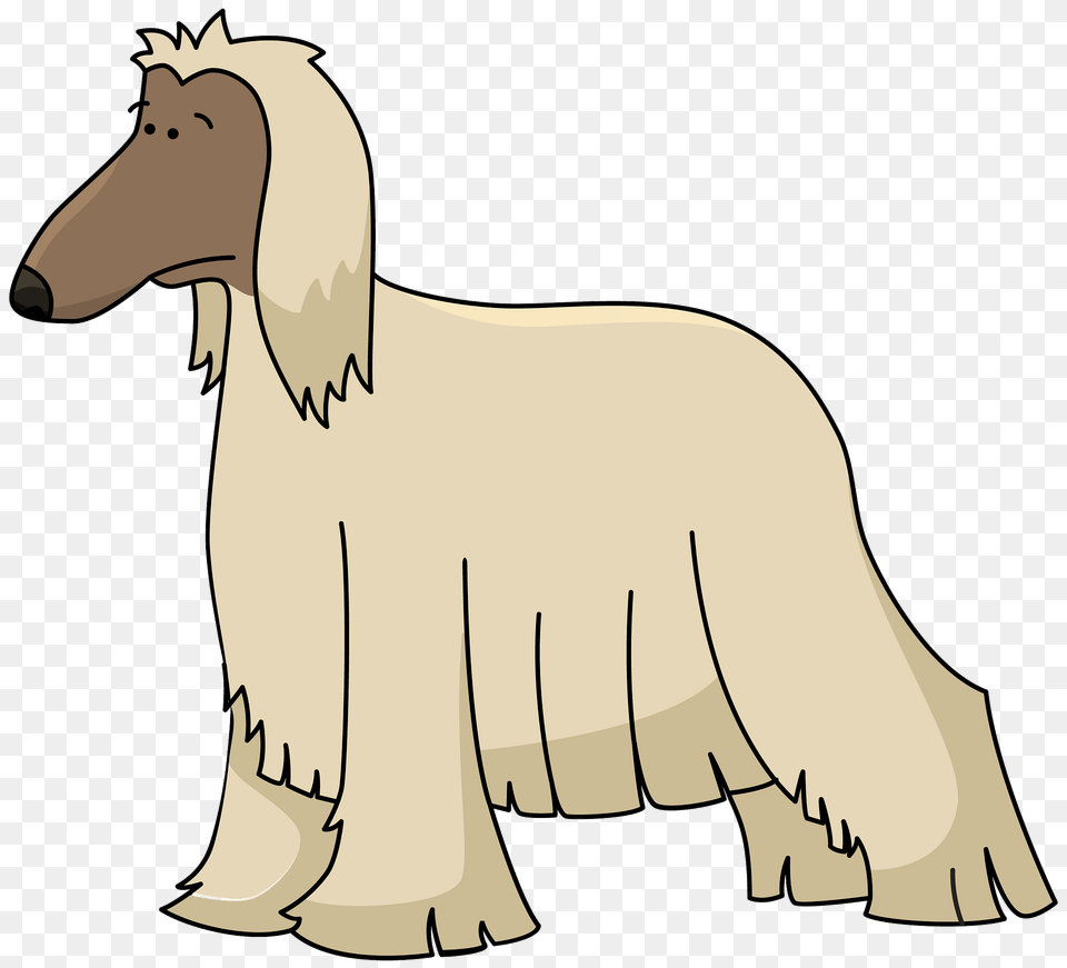 Afghan Hound Clipart, Animal, Canine, Dog, Mammal Png Image