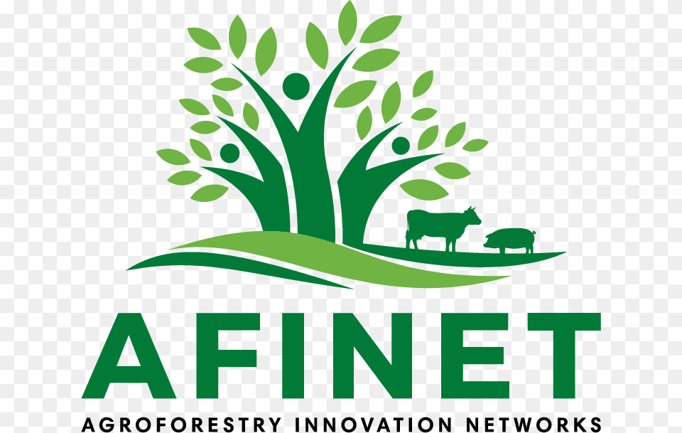 Afinet Logo Logo Afinet, Art, Graphics, Green, Plant Free Png Download