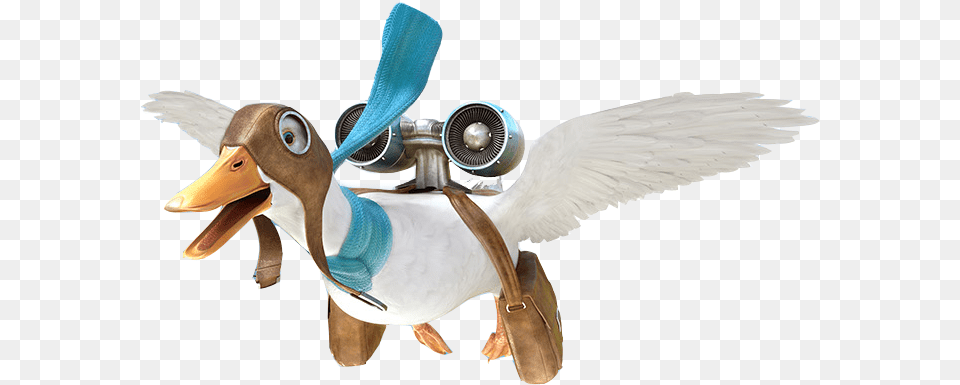Aflac Pacific Northwest Aflac Insurance, Animal, Bird, Duck Png Image