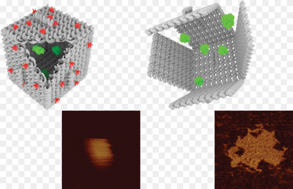 Afm Reveals The Dimensions Of Nanoscale Dna Origami Acs Synthetic Biology, Art, Paper Free Png