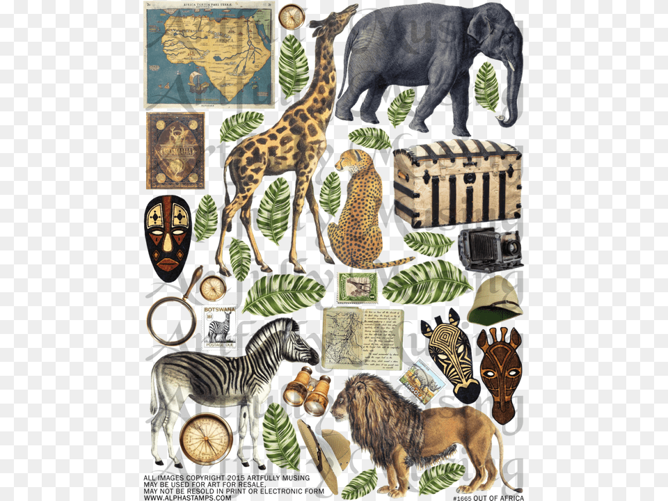 Africa, Art, Collage, Animal, Wildlife Png
