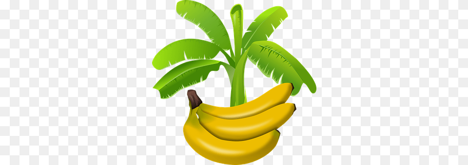 Africa Banana, Food, Fruit, Plant Free Png Download