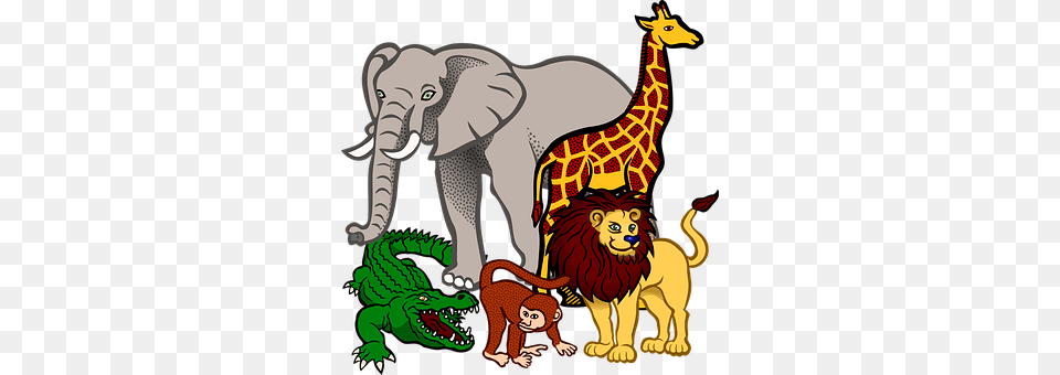Africa Animal, Mammal, Wildlife, Baby Free Png