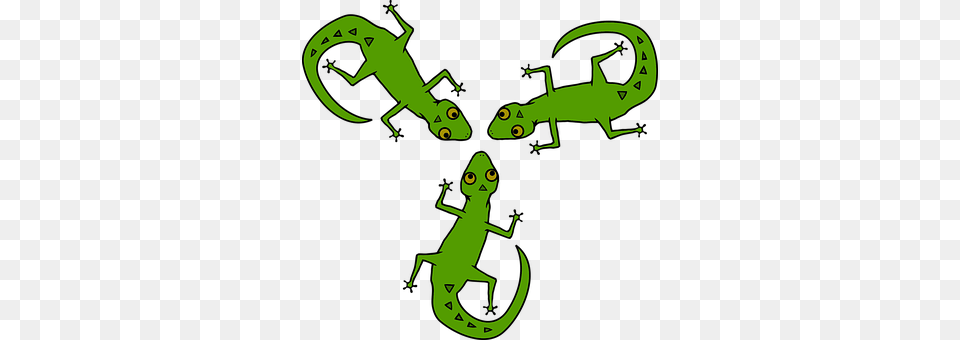 Africa Animal, Gecko, Lizard, Reptile Png Image