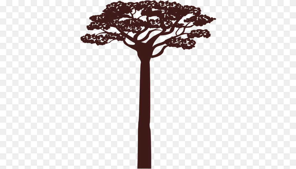 Africa Acacia Tree Canva Acacia, Plant, Tree Trunk, Person, Art Free Png