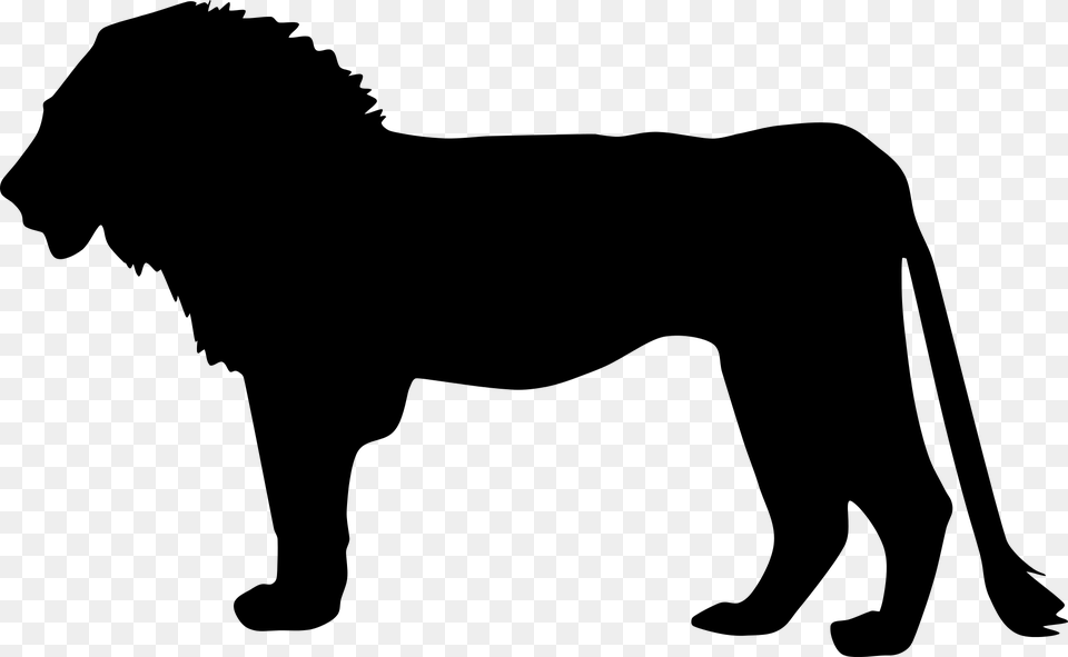 Africa Animal Big Cat Lion Silhouette Lion In Silhouette Profile, Gray Png