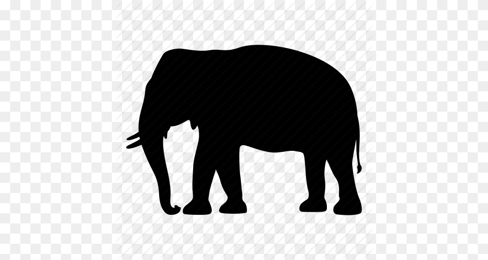 Africa Animal Elephant India Safari Silhouette Wild Icon, Mammal, Wildlife Free Png Download
