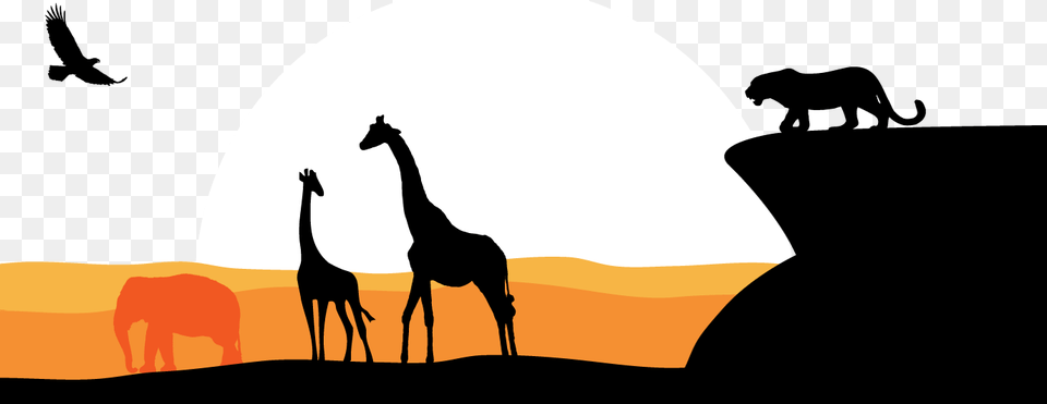 Africa Giraffe Eagle Sunset African Animal Border Silhouette, Mammal, Wildlife Free Png Download