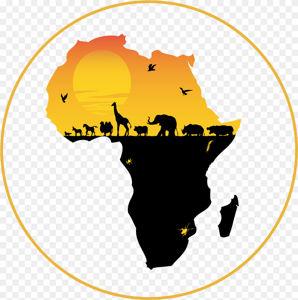 Africa Silhouette Africa Continent Clip Art, Outdoors, Animal, Bird, Nature Free Png