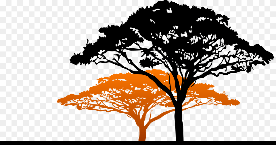 Africa Silhouette South African Trees Silhouette, Plant, Tree, Landscape, Nature Free Png Download