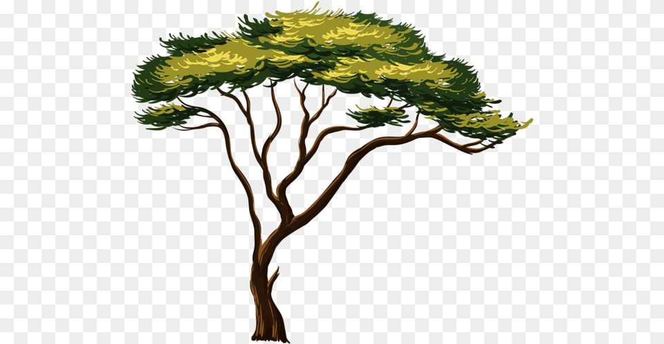 Africa Tree African Tree Clipart, Plant, Art, Vegetation, Painting Png Image