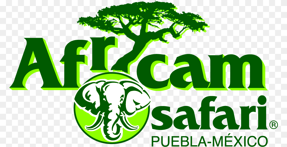 Africam Safari Logo Africam Safari Logo, Green, Plant, Vegetation, Land Free Png