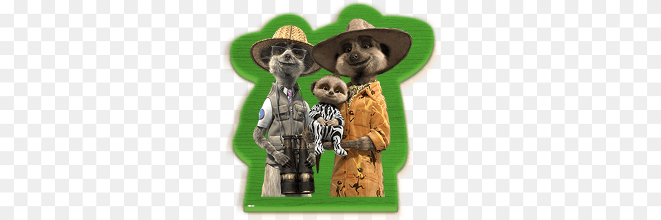 African Adventures Compare The Market Meerkats, Photography, Clothing, Hat, Toy Png Image
