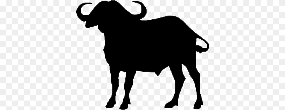 African Buffalo Clipart Clip Art, Animal, Mammal, Wildlife, Bull Free Transparent Png