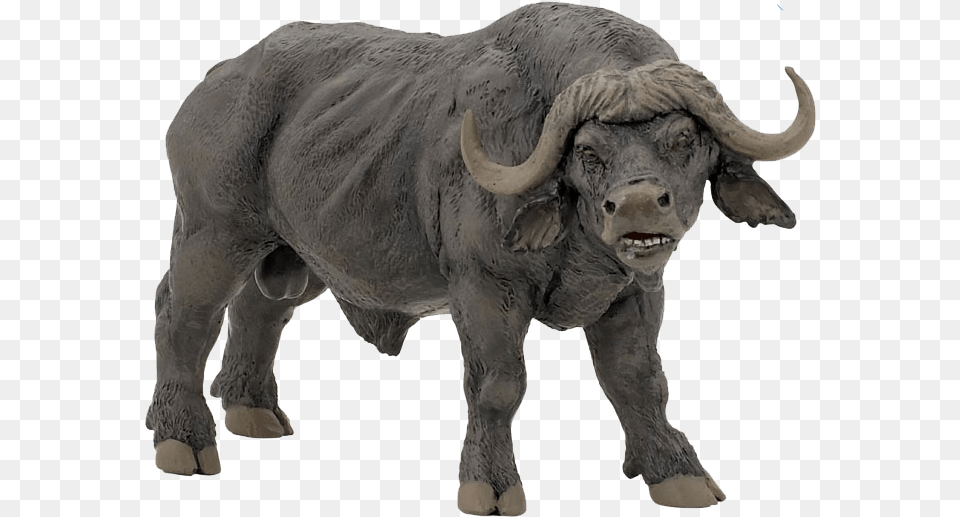 African Buffalo File African Buffalo Toys, Animal, Bull, Mammal, Wildlife Png Image