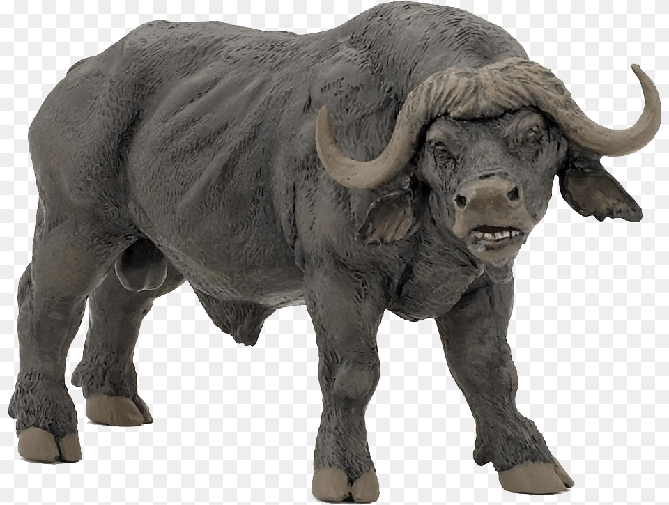 African Buffalo Free African Buffalo Toys, Animal, Bull, Mammal, Wildlife Png
