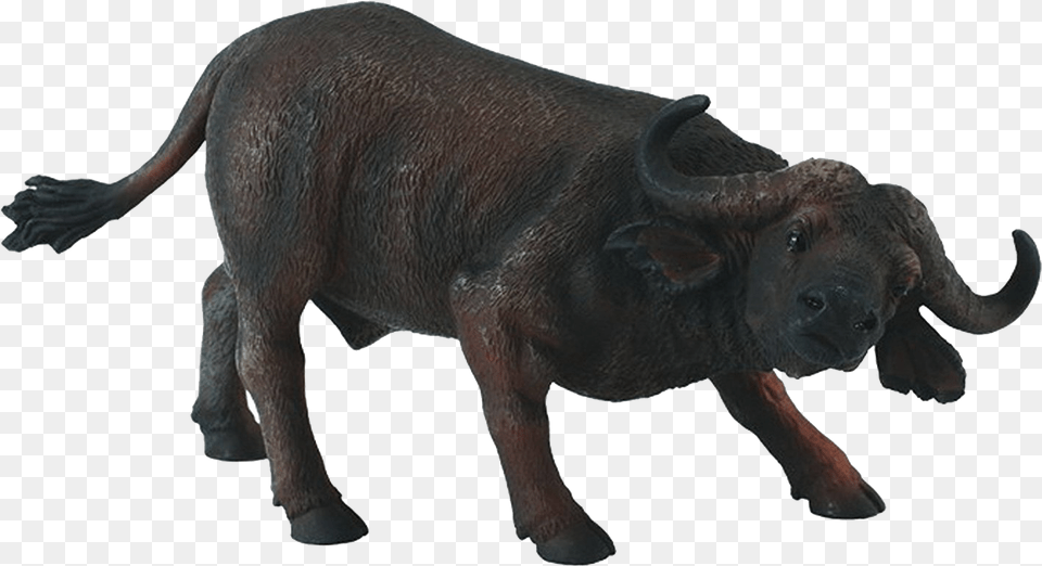 African Buffalo Pictures Toy African Buffalo, Animal, Mammal, Wildlife, Bull Free Transparent Png