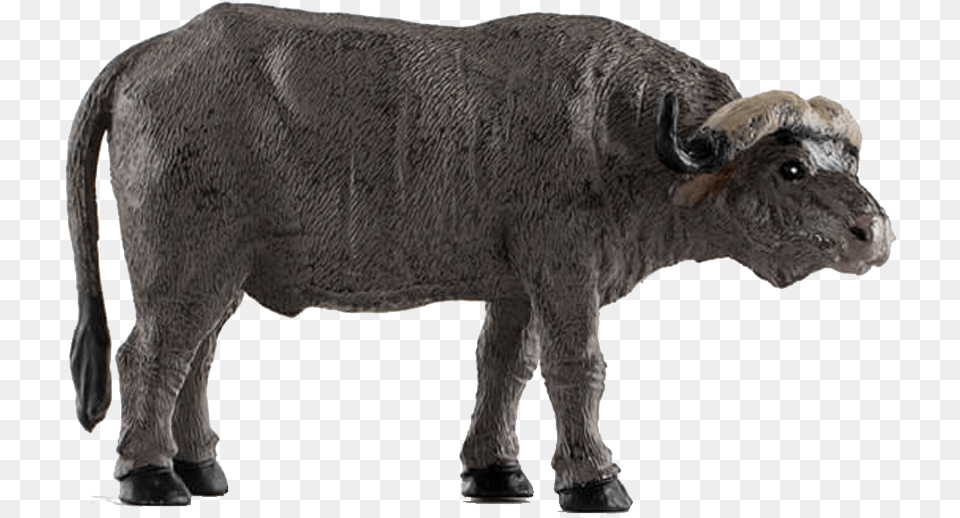 African Buffalo Free Pnso Hyena Amazon Uk, Animal, Bull, Mammal, Wildlife Png