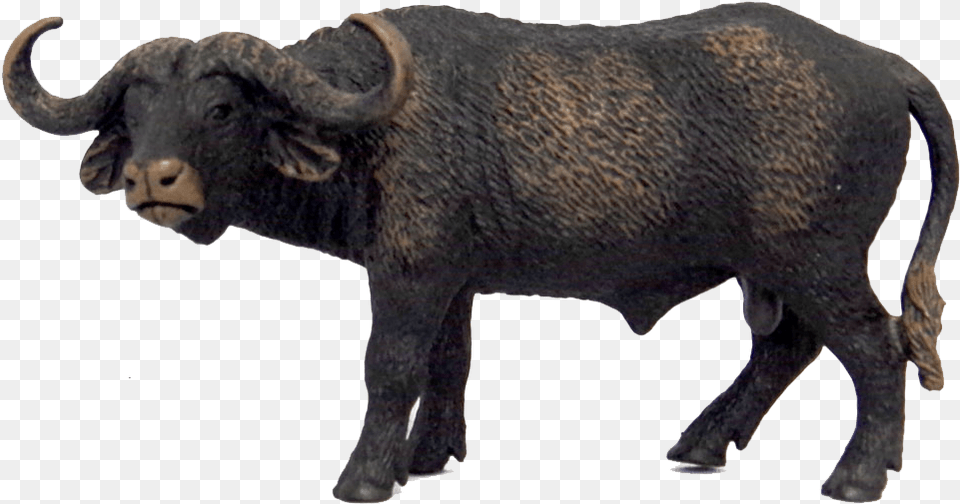 African Buffalo Images Schleich African Buffalo, Animal, Bull, Mammal, Wildlife Free Png
