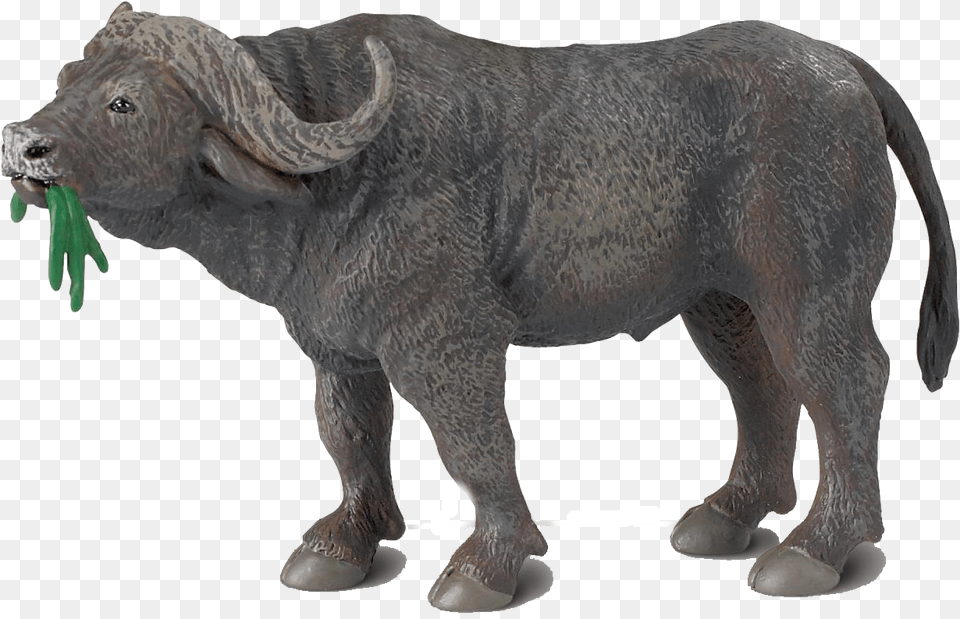 African Buffalo Images Transparent Background, Animal, Bull, Mammal, Wildlife Free Png Download