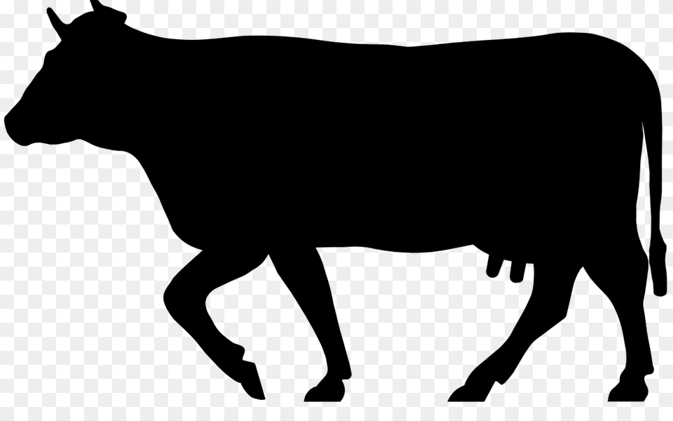 African Buffalo Silhouette Hot Trending Now, Animal, Bull, Mammal, Canine Free Png Download