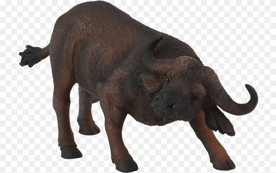 African Buffalo Transparent Background Buffalo Transparent Background, Animal, Mammal, Wildlife, Bull Free Png