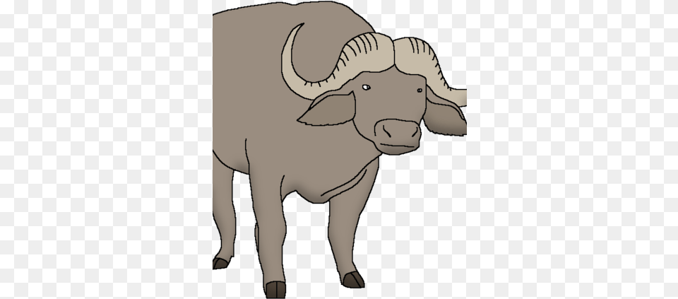 African Buffalo Water Buffalo, Animal, Mammal, Wildlife, Bull Free Png Download