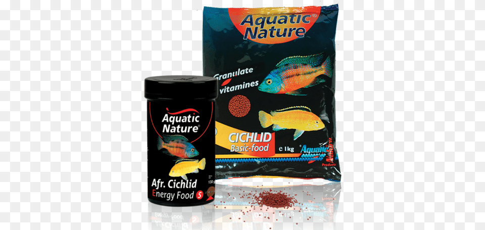 African Cichlid Food Cichlid, Animal, Fish, Sea Life Free Png Download